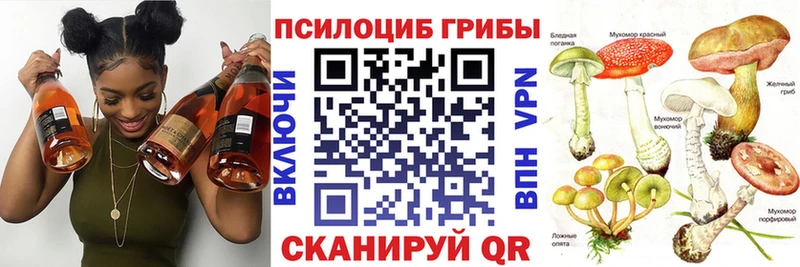 кракен рабочий сайт  Новокузнецк  Псилоцибиновые грибы GOLDEN TEACHER 