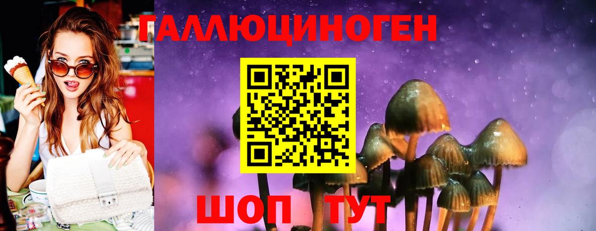 Псилоцибиновые грибы мицелий  Вход с VPN  Галлюциногенные грибы MAGIC MUSHROOMS  Новокузнецк 